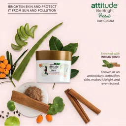 AMWAY Attitude Be Bright Herbals Day Cream SPF 15 - 50 ml image 2