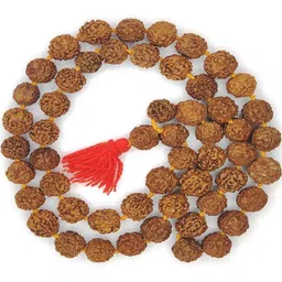 RAVIOUR LIFESTYLE Synthetic Necklace-picture-39