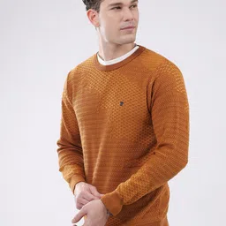 Monte Carlo Men Open Knit Self Design Round Neck Ribbed Pullover Sweater image 2