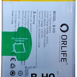 orlife Mobile Battery For Vivo S1 | V17 | V1913 | B-H0 (1 Year Replacement Warranty) image 1