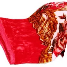 avelux Printed Single Mink Blanket for Heavy Winter image 2