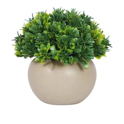 Dekorly Green Plastic Artificial Flowers & Plants With Pot image 3
