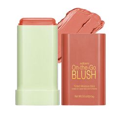 Adbeni On the Go Glow Tinted Moisture Stick Blush- 20 g- Warmglow-picture-31
