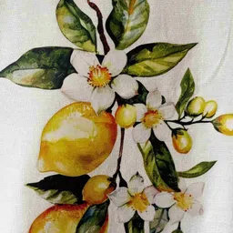 Baawri Crop Top image 5