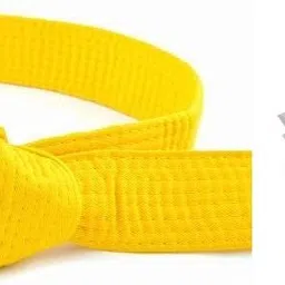 addiction Martial Art Judo/karate/taekwondo belt RED and RED (set of 2pcs) Abdominal Belt-picture-17