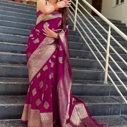 RAJMUDRAFASHION Women Ethnic Motifs Woven Design Zari Saree-picture-14