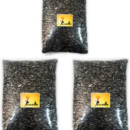 parrots wizard Bird Food Sunflower Seed 2.7 kg (3x0.9 kg) Dry Adult, Young, New Born Bird Food-picture-15
