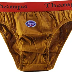 under touch Pack of 5 Men Brief image 5