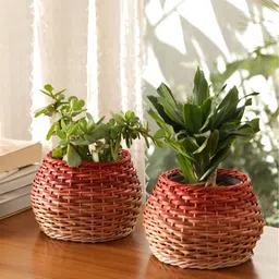 Peepul Tree 2Pcs Brown & Rust Textured Wooden Wicker Planters-image-47