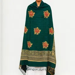 Vrinde Women Paisley Embroidered Shawl-picture-25