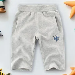 INCLUD Boys Regular Fit Embroidered Shorts-image-37