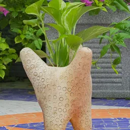 Swadeh Brown Clay Starfish Planter Pot image 3