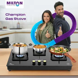 Champion Glass Manual Gas Stove-image-0