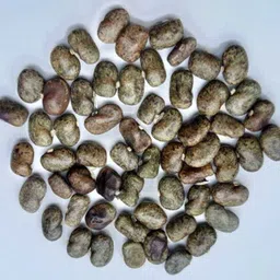 seedkart nilkantha flower seeds Aprajita FULL SEEDS Seed image 2