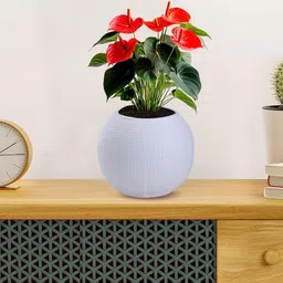 Kuber Industries 4Pcs Textured White Pot Shaped Flower Planters image 3