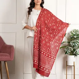 Style Shoes Women Cotton Ethnic Motifs Printed Stole-image-0