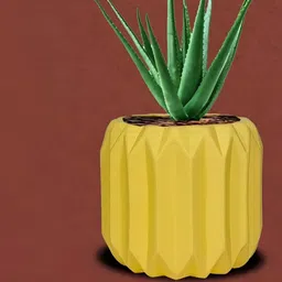 LASAKI Yellow Saffron Kavira Ceramic Planters-picture-10