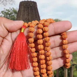 Apnisanskriti Unisex Nepali Rudraksha Chikni Pathri Mala image 3