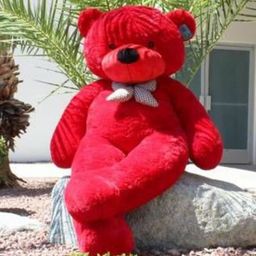 VEERA SOFT TOYS Kids Teddy Bear Soft Toy-picture-31