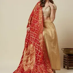 Dupatta Bazaar Paisley Woven Design Silk Dupatta-picture-22