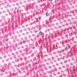 NFC CREATION Boys Embroidered Regular Sequinned Kurta with Pyjamas image 2