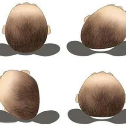 little crawl Cotton Baby Pillow Pack of 2 Animals image 2