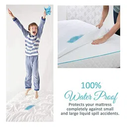 coirfit Jena (78x72) Cotton Waterproof King Size Protector In Beige Colour image 4