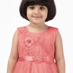 Aarika Floral Net Fit & Flare Dress image 3