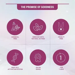 Lotus Herbals Radiant Pearl Cellular 5 in 1 Facial Kit- 170g image 4