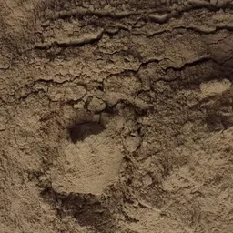 Purenso Natural Lodhra Powder- 1 Kg image 4