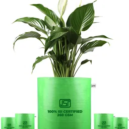 upaaj Grow Bags 12x12 inch, plant bags for home garden,grow bags for plants Pack of 5 Grow Bag-picture-11