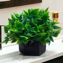 Dekorly Green Plastic Artificial Flowers & Plants With Pot-picture-27