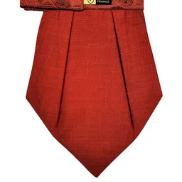 VOICI Men Paisley Printed Micro Fibre Cravat image 5