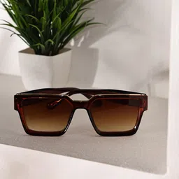 Garry Gobbs Unisex Brown Lens & Brown Square Sunglasses with-picture-16