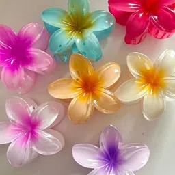 Elecsera Unisex Set of 5 Claw Clip image 4