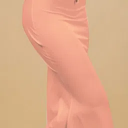 IndianRang 4-Way Stretchable Seamless Fish Cut Style Saree Shapewear image 3