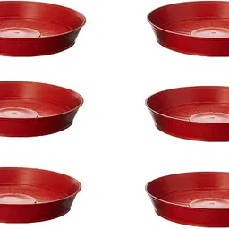 Flower Pot Plant Saucer Base Plate Planter Tray Set of 6 Terracotta (8 Inch) Plant Container Set-image-32