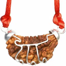 divine souvenirs 1 Mukhi Lab Certified Genuine & Authentic Rudraksha | One Face | Ek Mukhi Pendan Silver Wood Pendant image 2