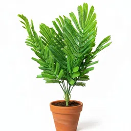 Lush Green Artificial Mimosa Leaves Bunch for Home Decor | Realistic Faux Plant Green Eucalyptus Artificial Flower-image-11