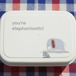 aryaveda LLB210 2 Containers Lunch Box-picture-34