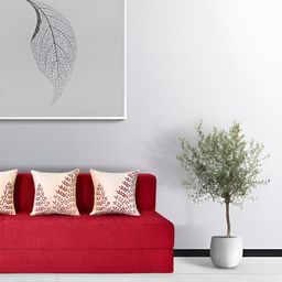 FRIENDS LIFE Maroon 3 Seater Fold Out SofaCumBed-picture-18