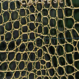 Caprese Textured Half Moon Sling Bag image 5