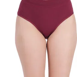 ORLIZEA Women High-Rise Cotton Blend Hipster Briefs-image-65