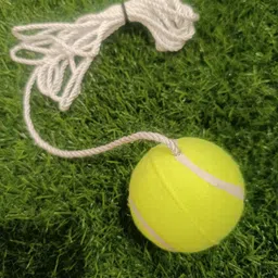 rainbowtrading Tennis/cricket Training/knocking ball Cricket Training Ball-picture-42