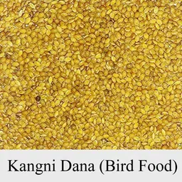 mule sustenance store Kangni Dana For Budgies, Lovebirds, Cockatiels, Canaries, Finches etc 0.4 kg Dry Adult, Young, Senior, New Born Bird Food-picture-22
