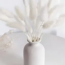 TIED RIBBONS Set of 100 Pcs Lagurus Bunny Pampas Grass image 2