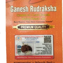 bhakti shringar Ganesh Mukhi Rudraksha Original Certified Lab Test & X-ray Report Sterling Silver Wood Pendant-picture-11