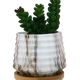 TAYHAA White 1 Pieces Succulent Artificial Plant With Pot image 4