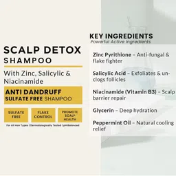 Ayurneed Scalp Detox Shampoo With Salicylic Acid - 250 ml image 2