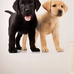 LANSTICK Black & Beige Cute Two Dogs Printed Wallsticker-picture-25